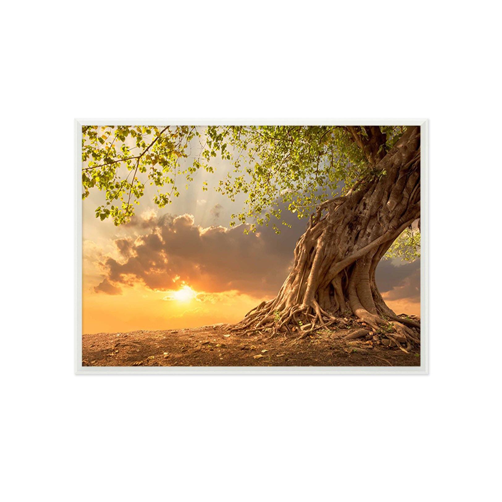 3D Big Tree Sunset 196 Fake Framed Print Painting Wallpaper AJ Creativity Home 