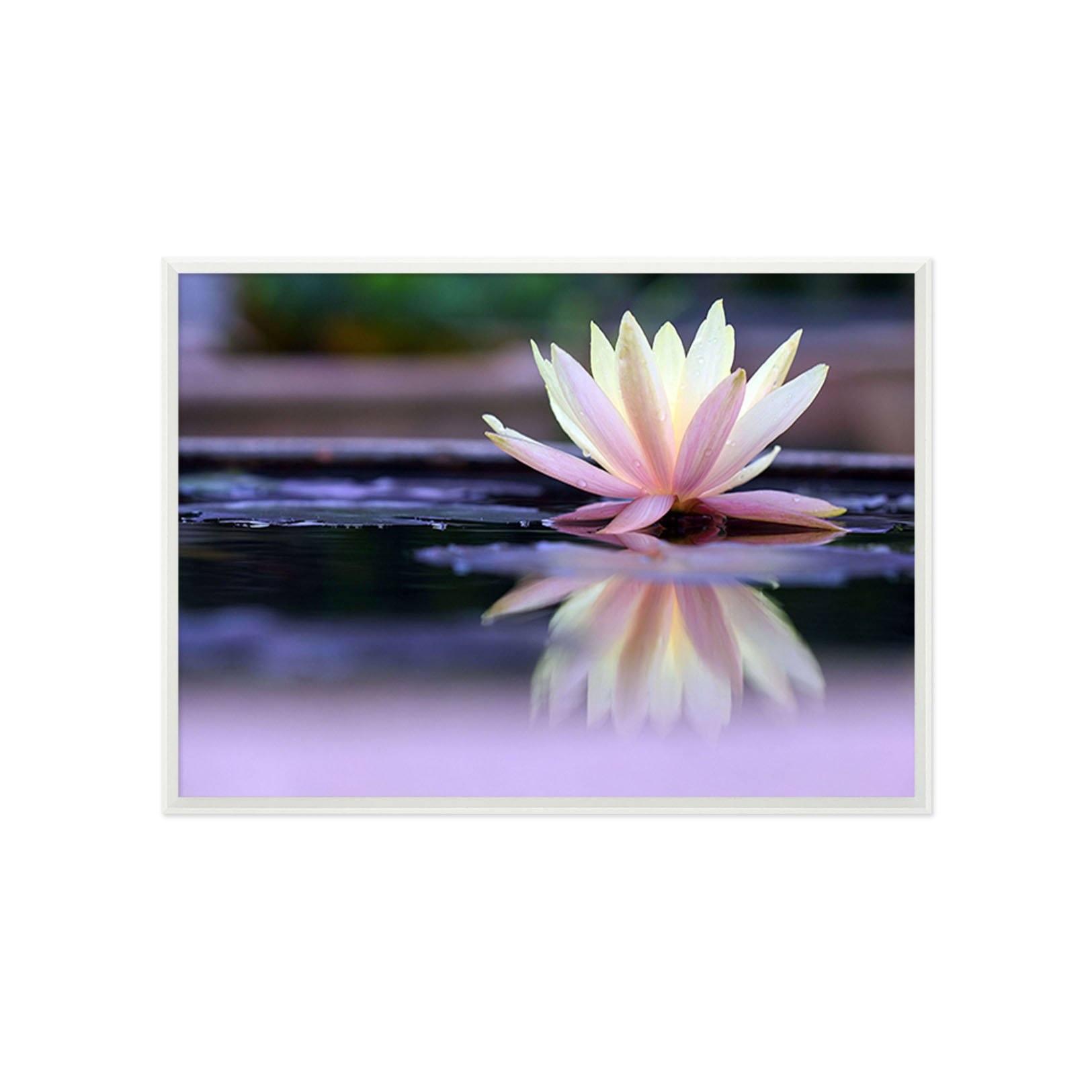 3D Lotus Beautiful 173 Fake Framed Print Painting Wallpaper AJ Creativity Home 