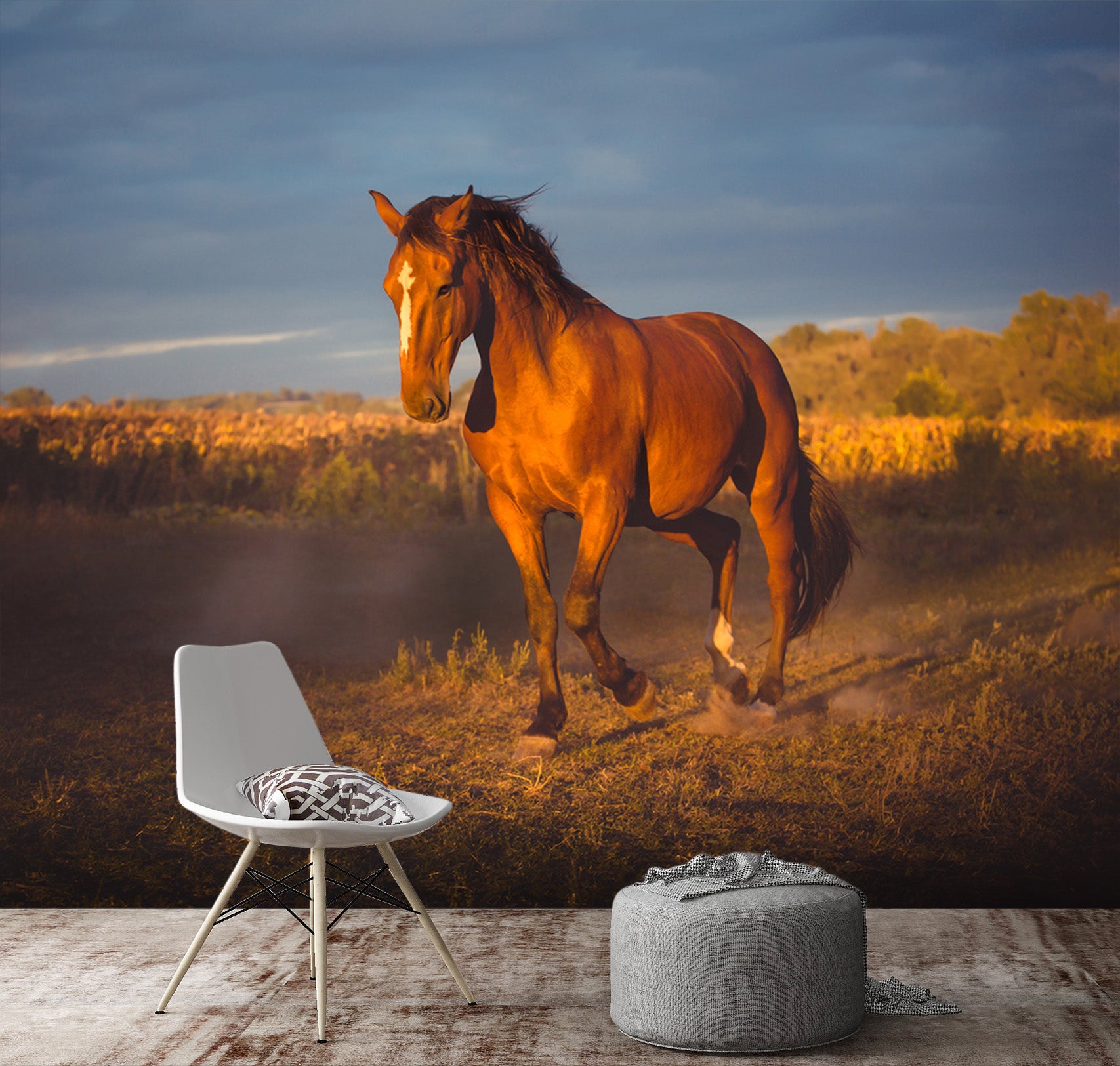 3D Prairie Horse 109 Wall Murals