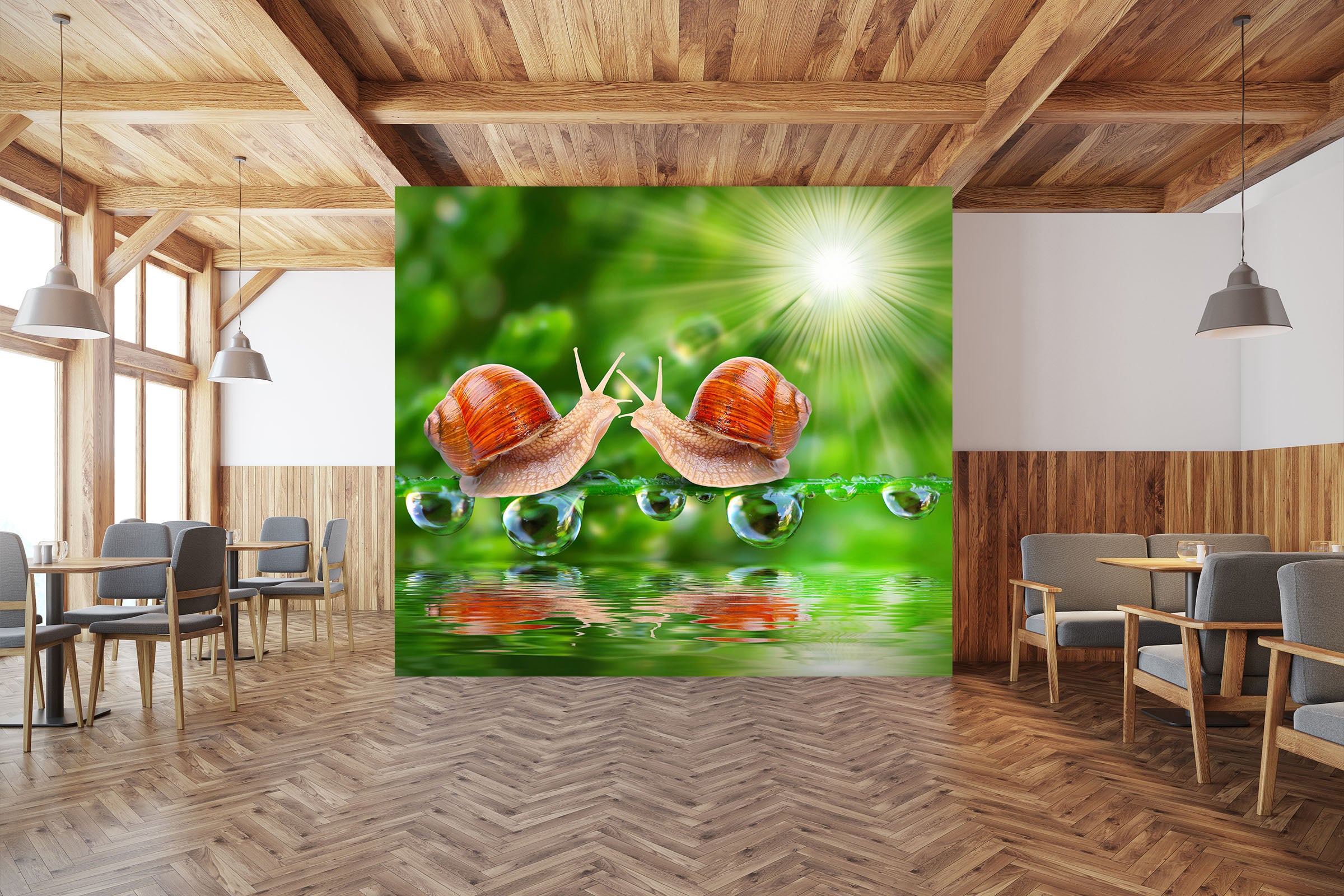 3D Sunshine Snail 201 Wall Murals