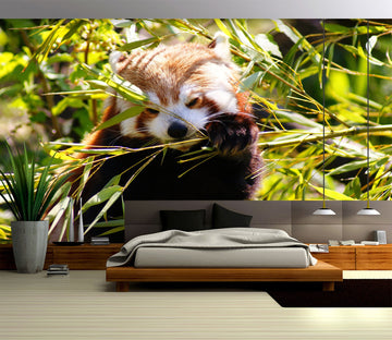 3D Little Panda 057 Wall Murals Wallpaper AJ Wallpaper 2 