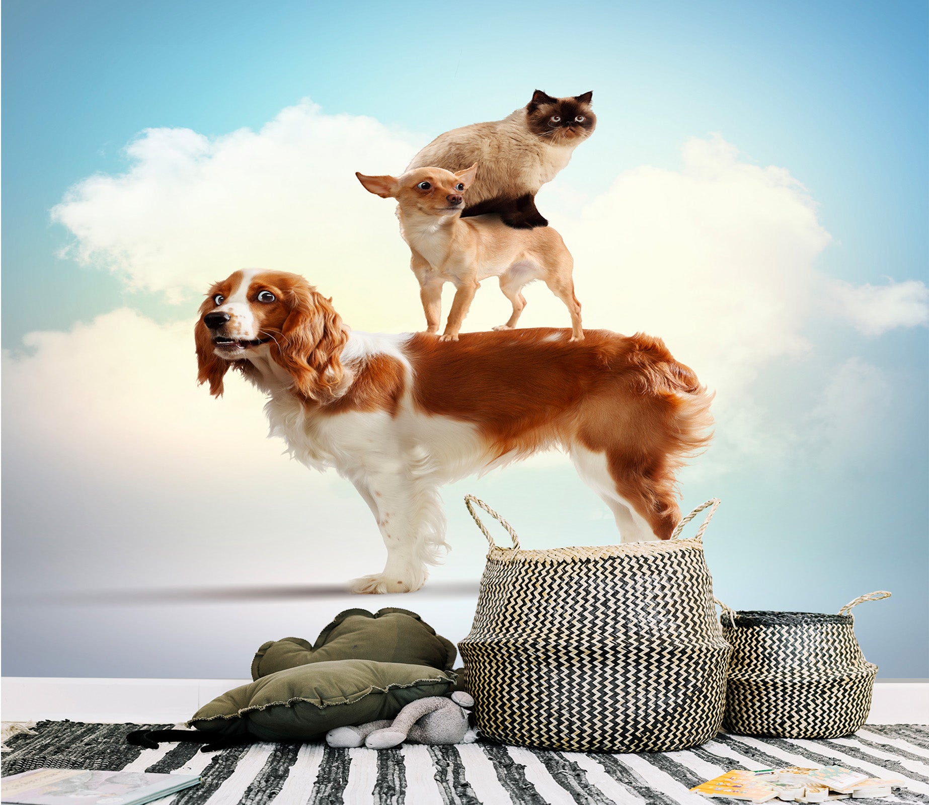 3D Cute Dog 005 Wall Murals Wallpaper AJ Wallpaper 2 