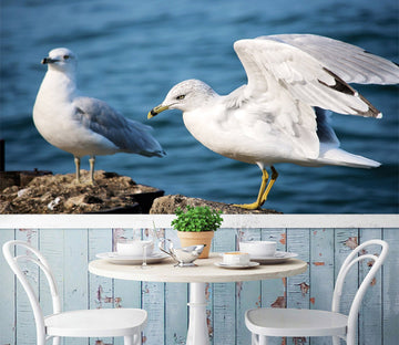 3D Seagull 025 Wall Murals Wallpaper AJ Wallpaper 2 