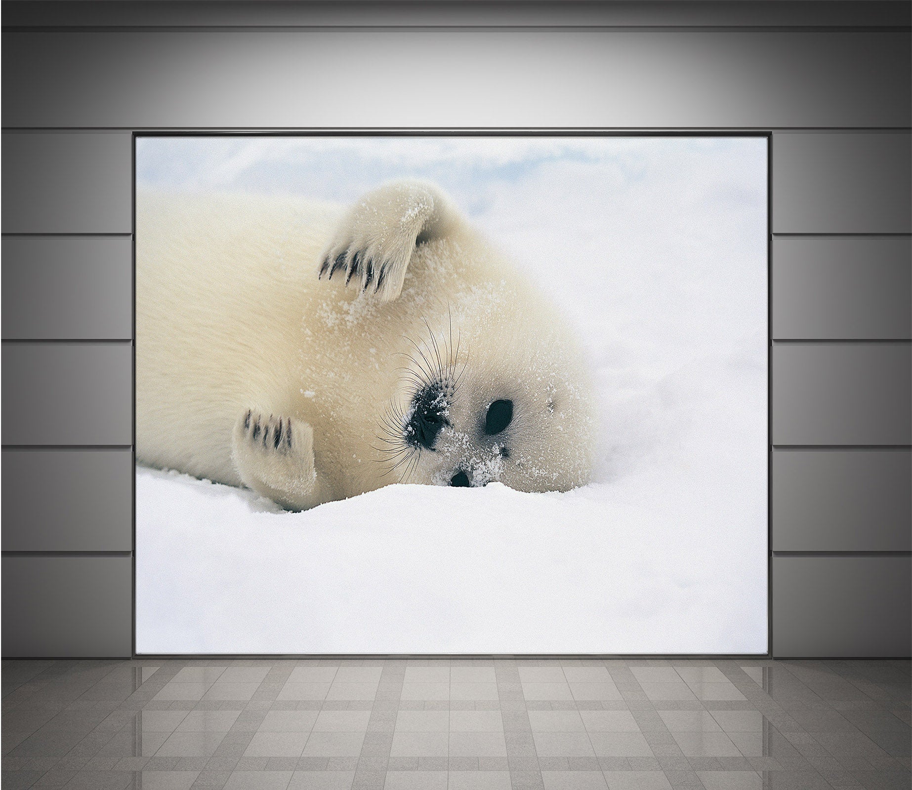 3D Sea Lion 026 Wall Murals Wallpaper AJ Wallpaper 2 