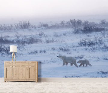 3D Polar Bear 003 Wall Murals Wallpaper AJ Wallpaper 2 