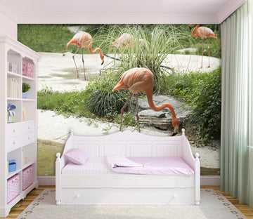 3D Pink Flamingo 037 Wall Murals Wallpaper AJ Wallpaper 2 