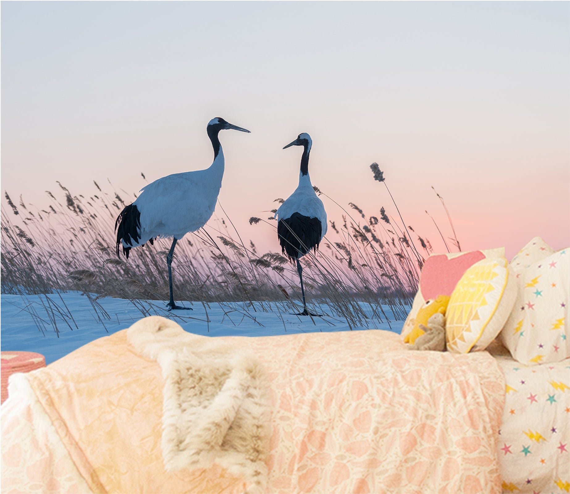 3D Snow Grassland Crane 040 Wall Murals Wallpaper AJ Wallpaper 2 