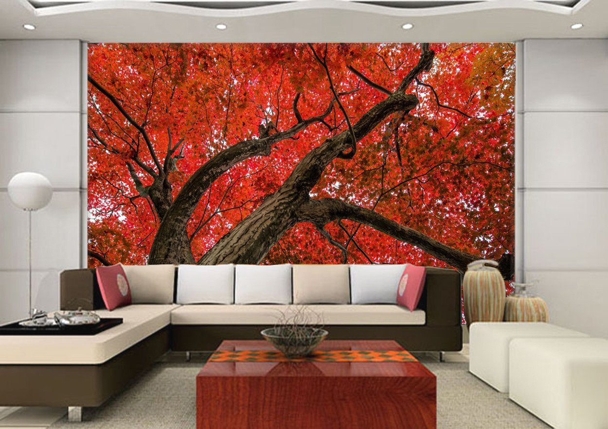 3D Red Maple Tree 35 Wallpaper AJ Wallpaper 