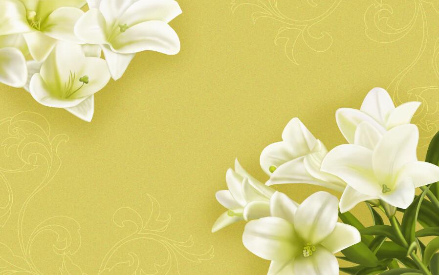 Pure White Lilies Wallpaper AJ Wallpaper 2 
