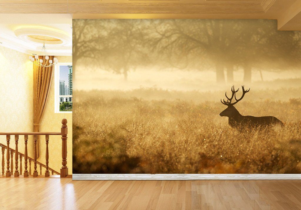 3D Wild Deer Fields 72 Wallpaper AJ Wallpaper 