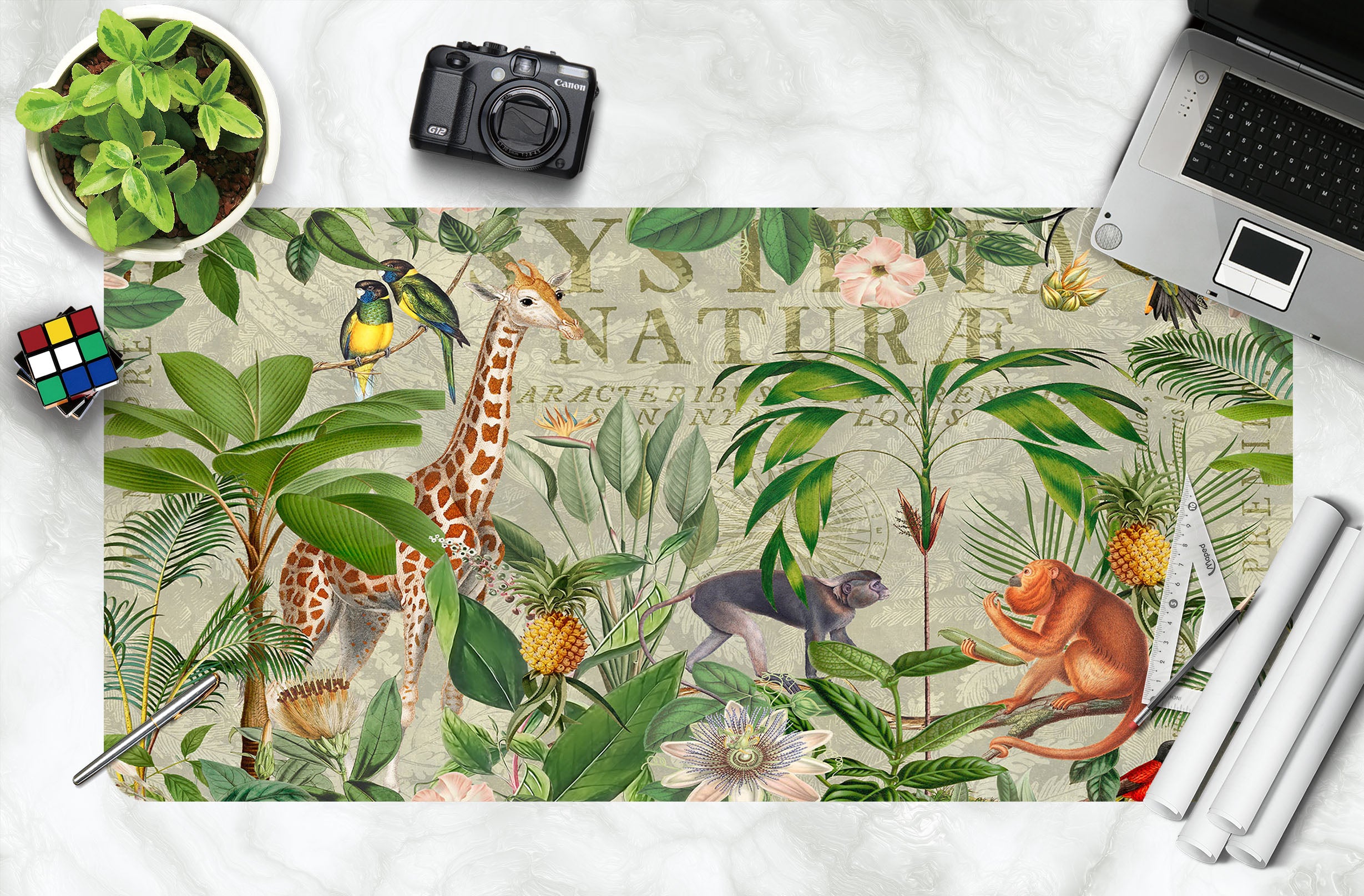 3D Green Tree Monkey 5241 Andrea Haase Desk Mat