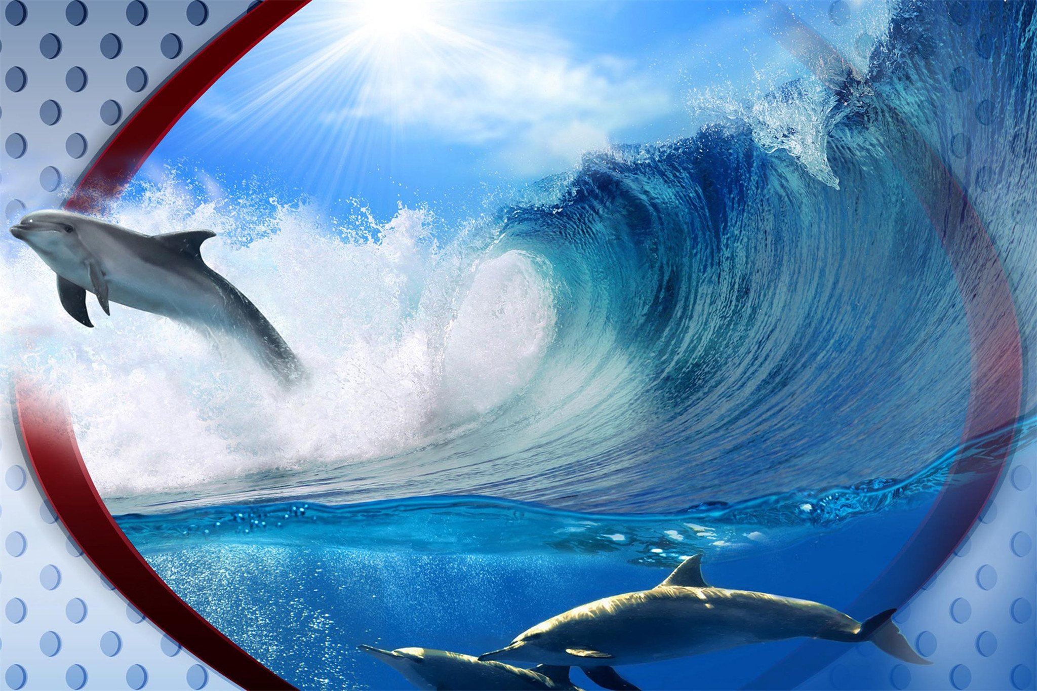 Sunny Blue Ocean Dolphins Wallpaper AJ Wallpaper 