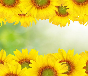 3D Sunflower Sunshine 294 Wallpaper AJ Wallpapers 