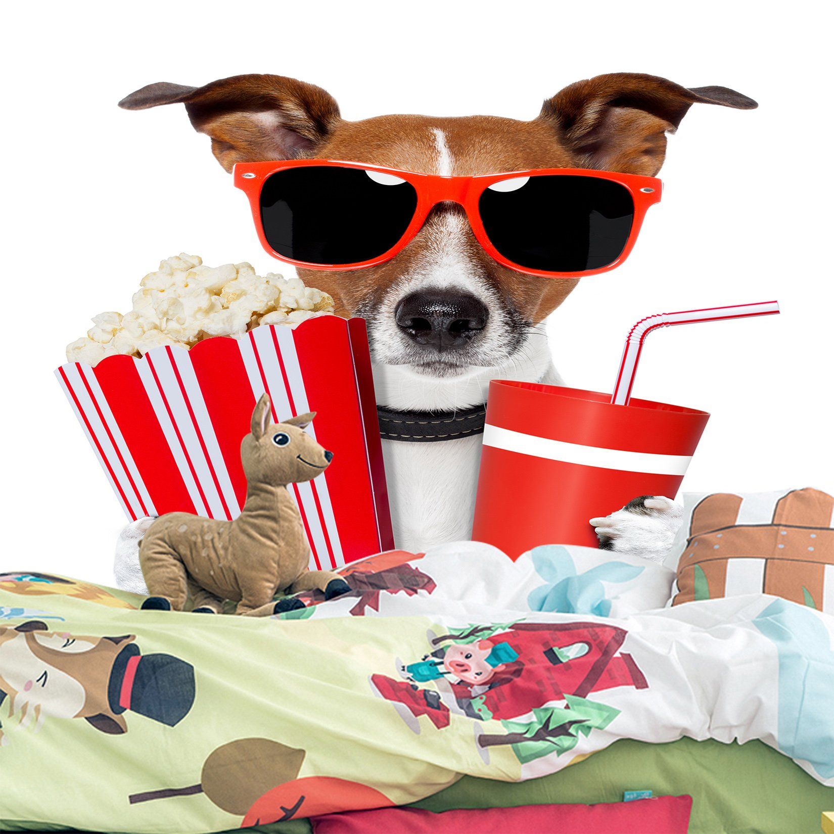 3D Sunglasses Dog 045 Wallpaper AJ Wallpaper 