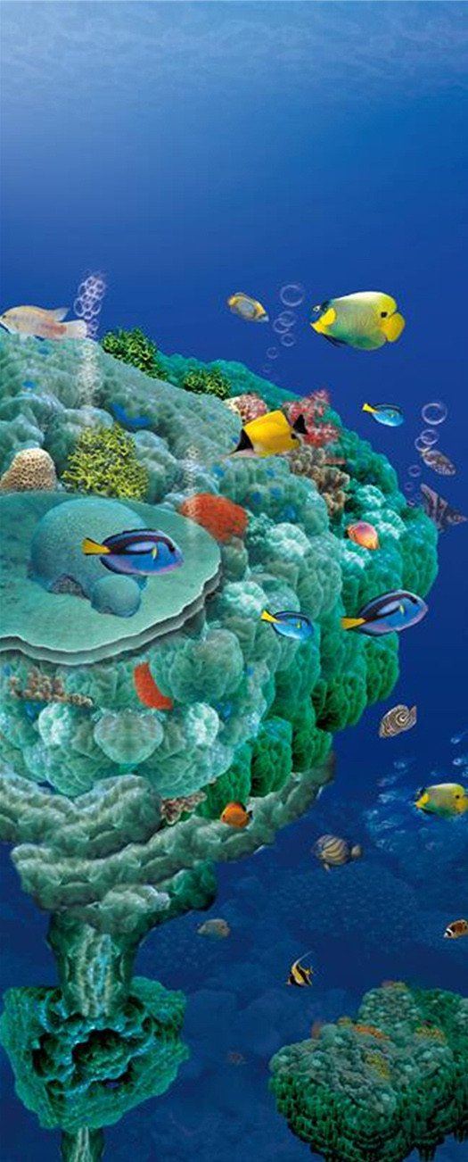 3D the wonders of the world in the sea door mural Wallpaper AJ Wallpaper 