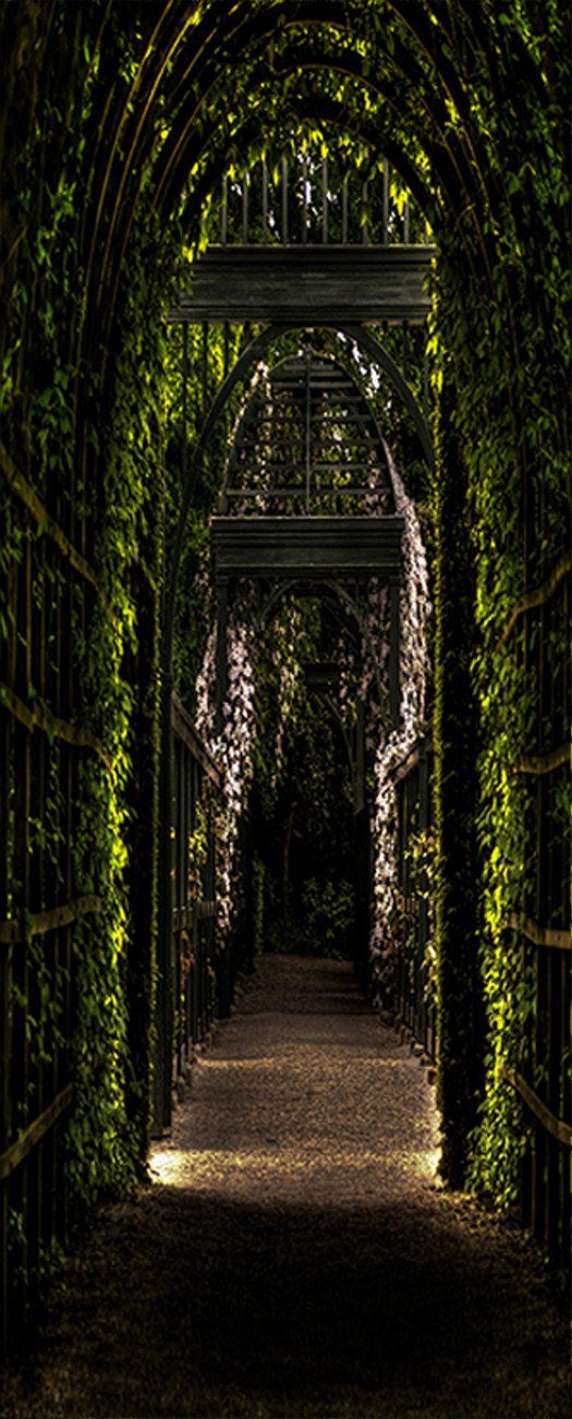 3D vines around the corridor door mural Wallpaper AJ Wallpaper 