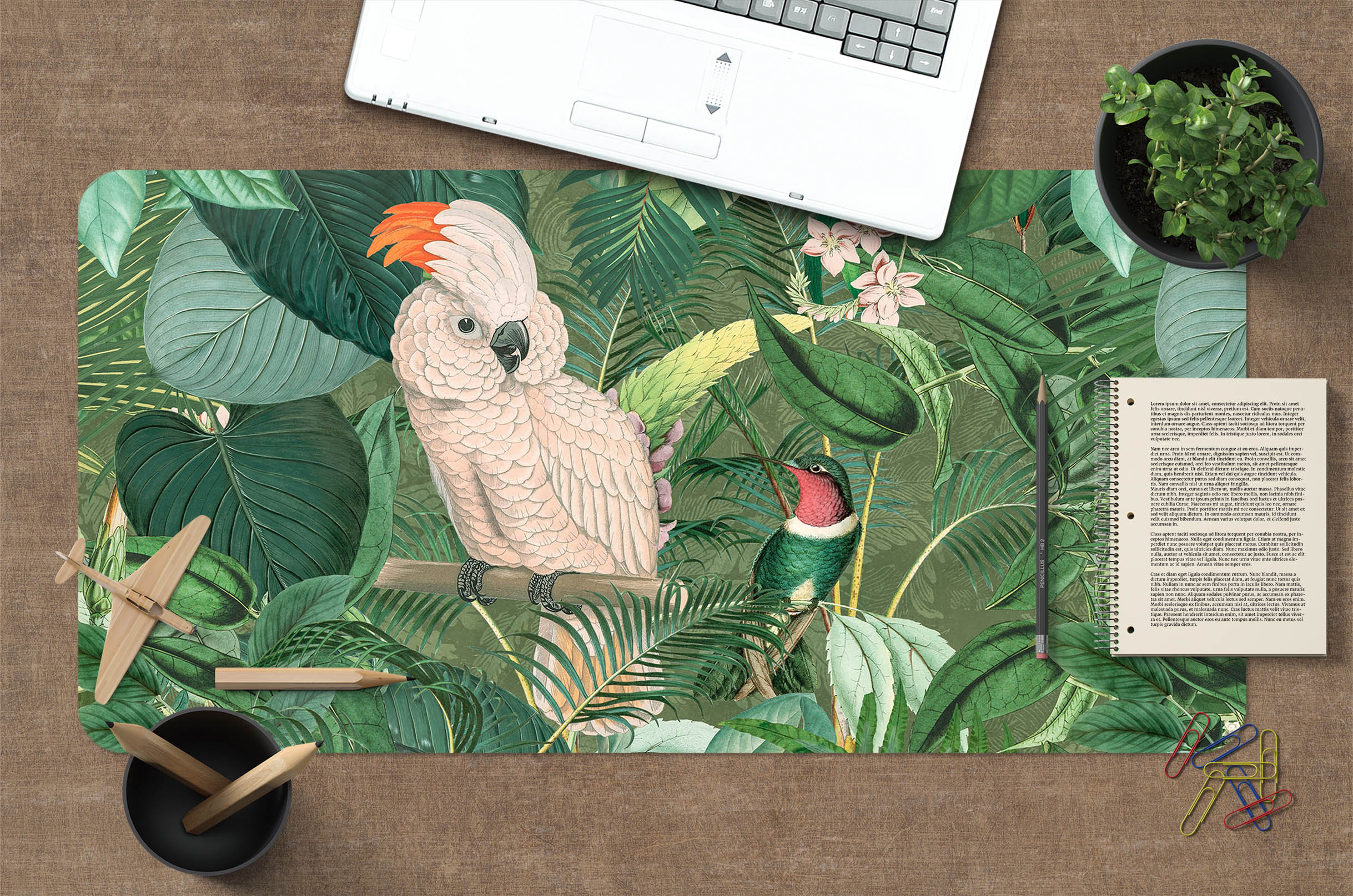 3D White Parrot 5226 Andrea Haase Desk Mat