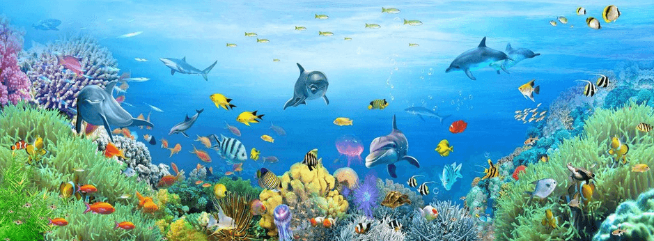 Ocean Bottom World Wallpaper AJ Wallpaper 2 