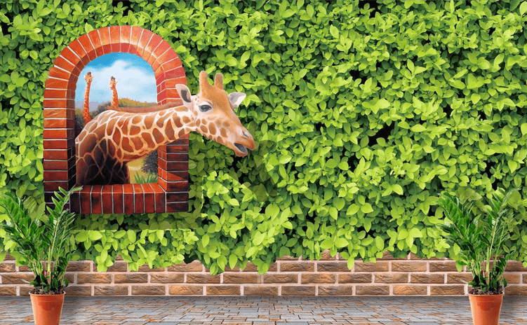 Lovely Giraffes Wallpaper AJ Wallpaper 