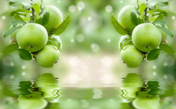 Fresh Green Apples Wallpaper AJ Wallpaper 