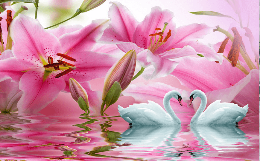 Pink Lilies Wallpaper AJ Wallpaper 