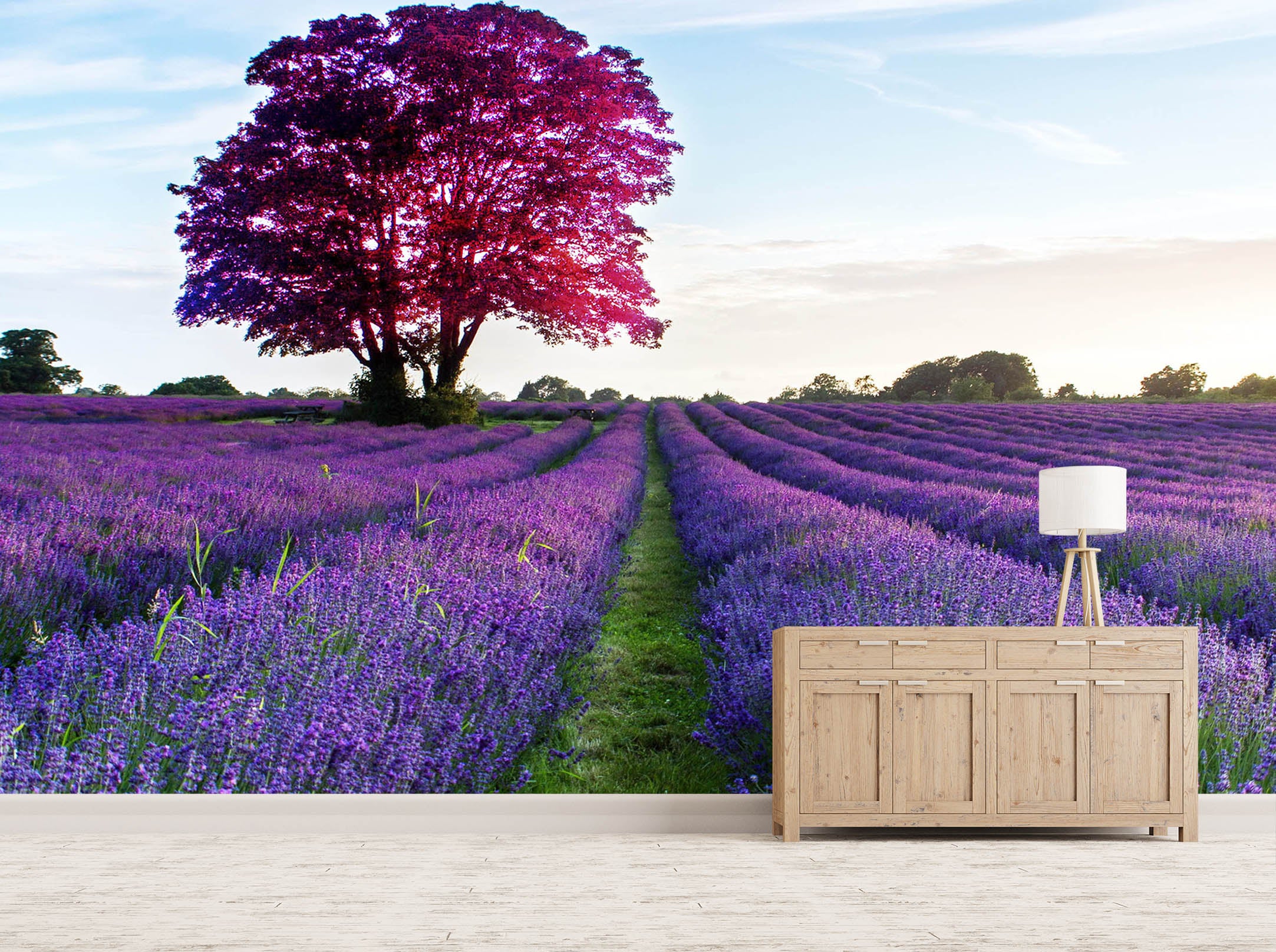 3D Lavender Field 1149 Wall Murals