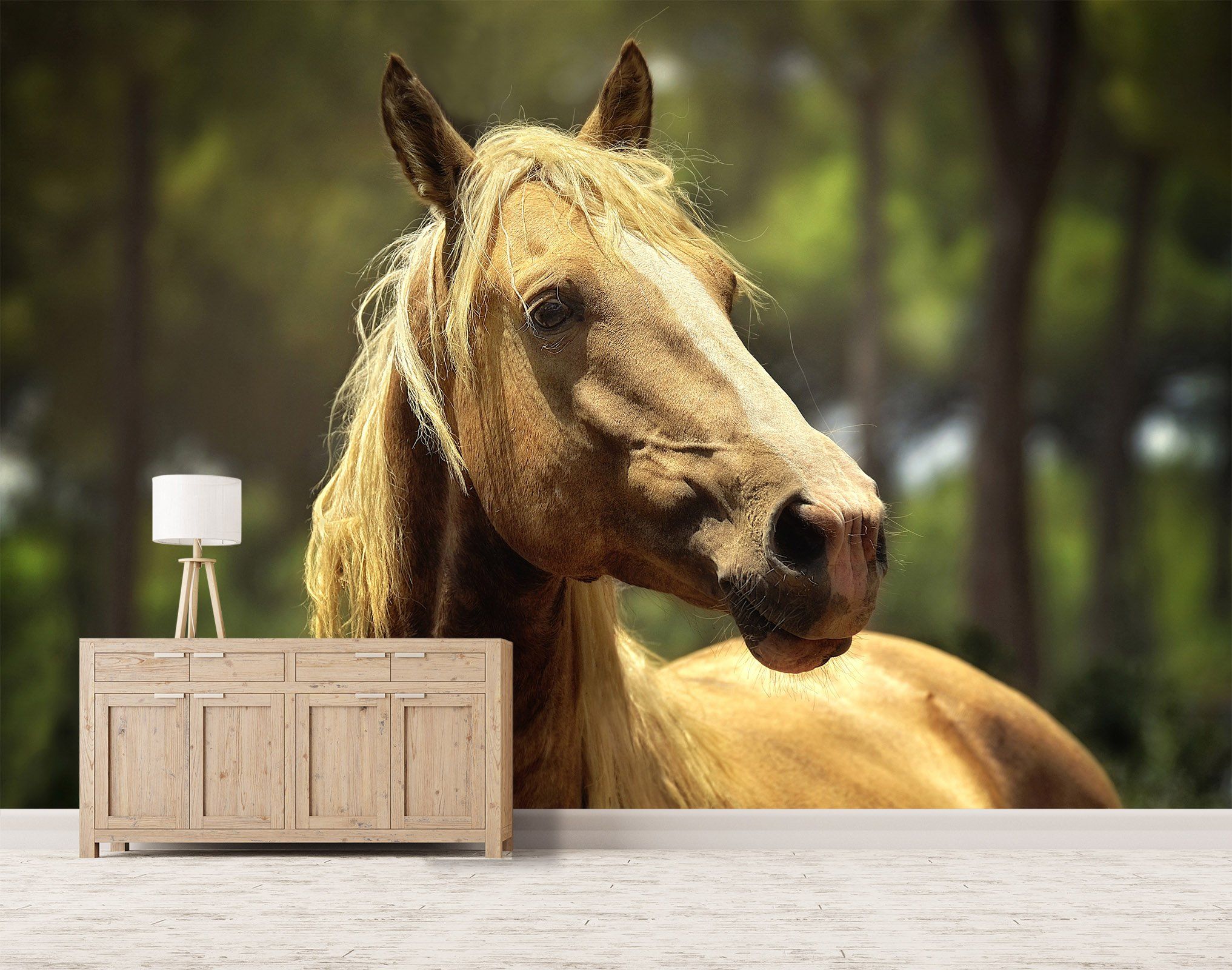 3D Horse Head Sunshine 668 Wallpaper AJ Wallpaper 