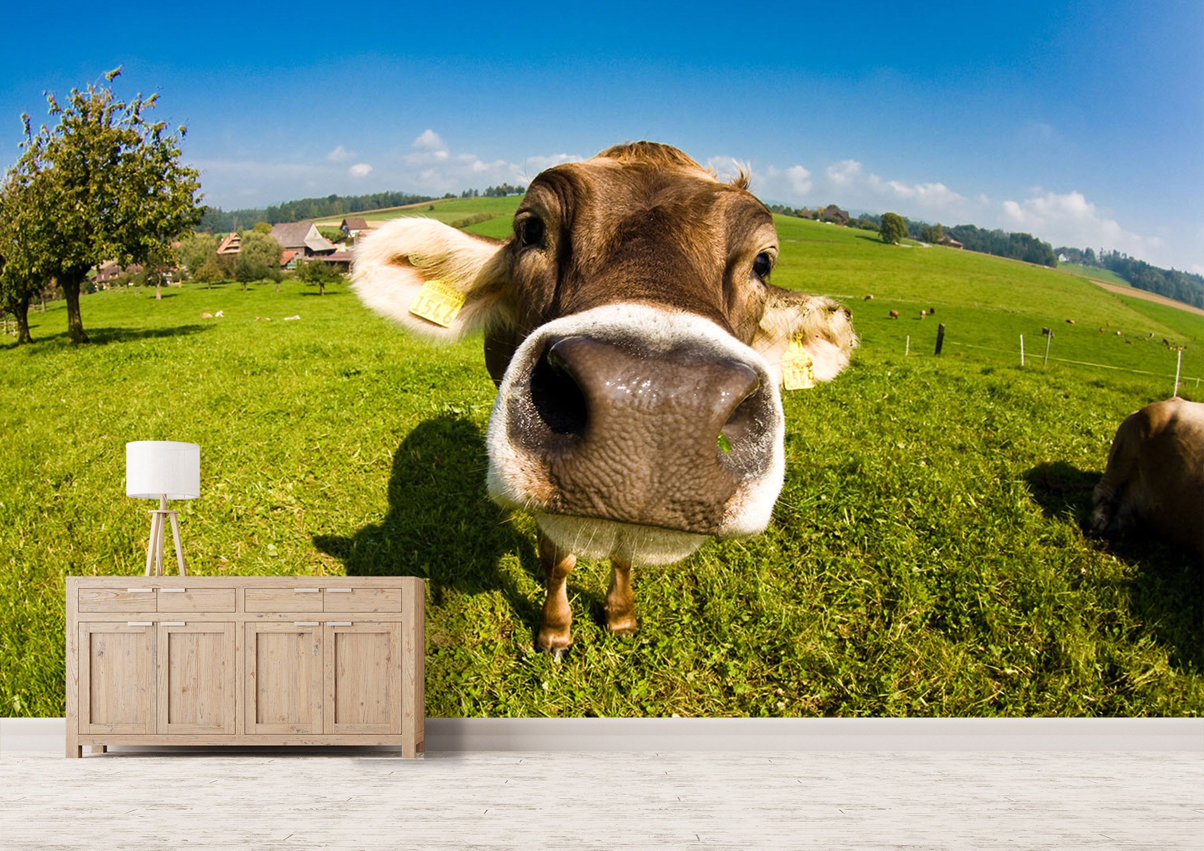 3D Cow Head 316 Wall Murals