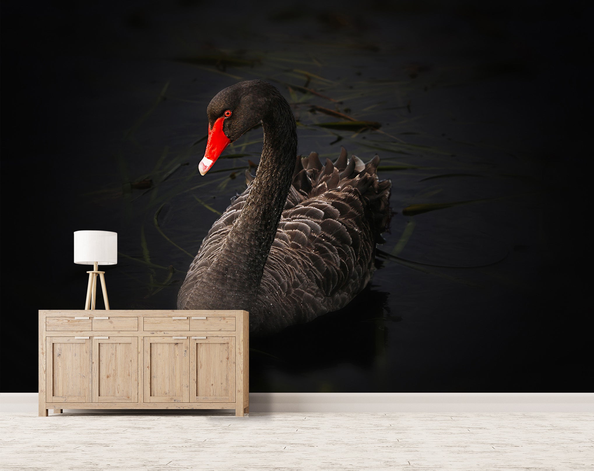 3D Black Swan 144 Wall Murals