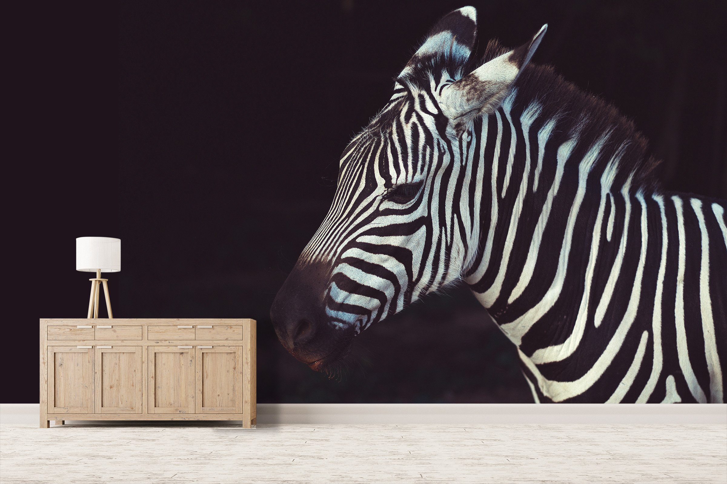 3D Zebra 579 Wallpaper AJ Wallpaper 