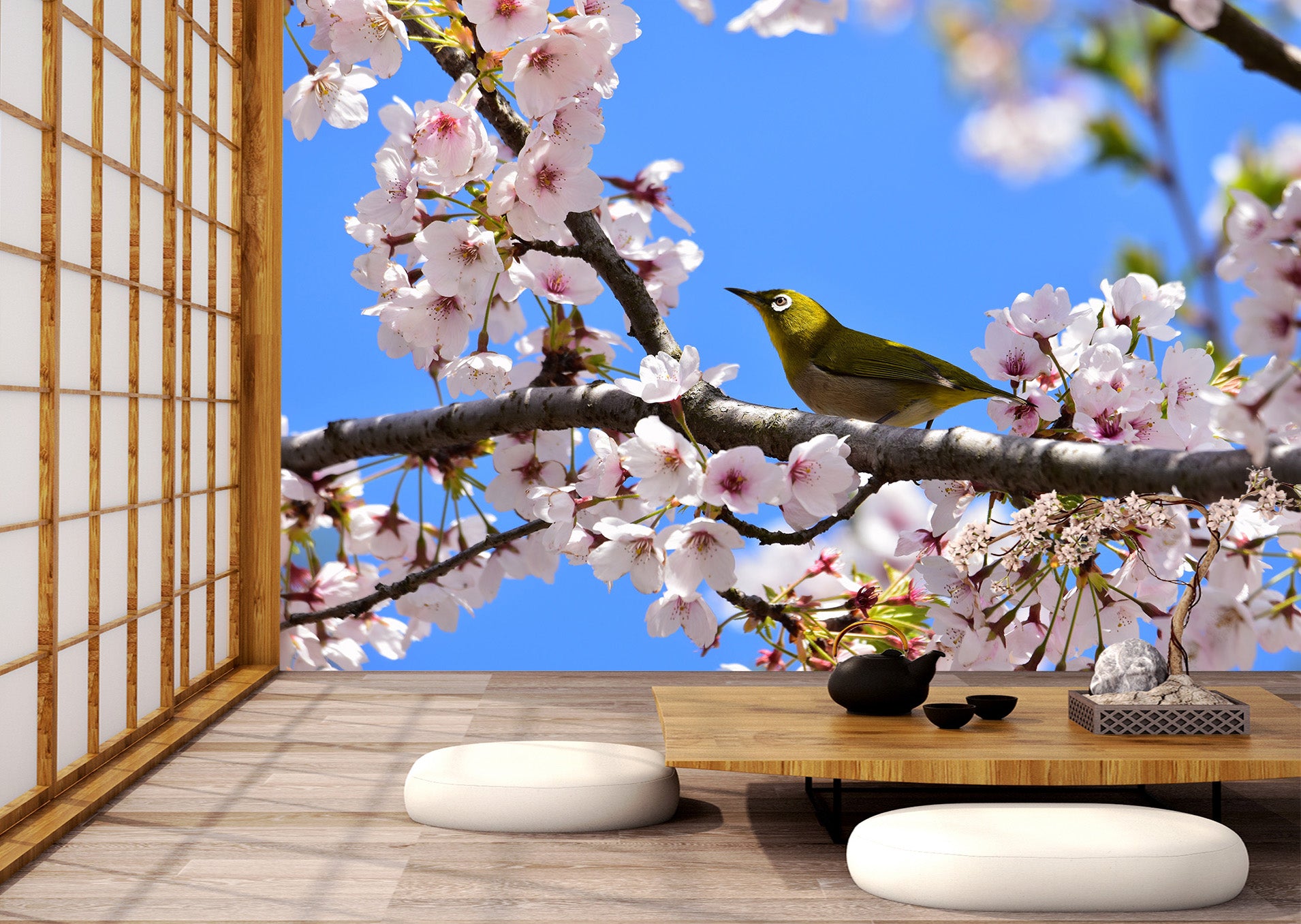 3D Peach Bird 135 Wall Murals