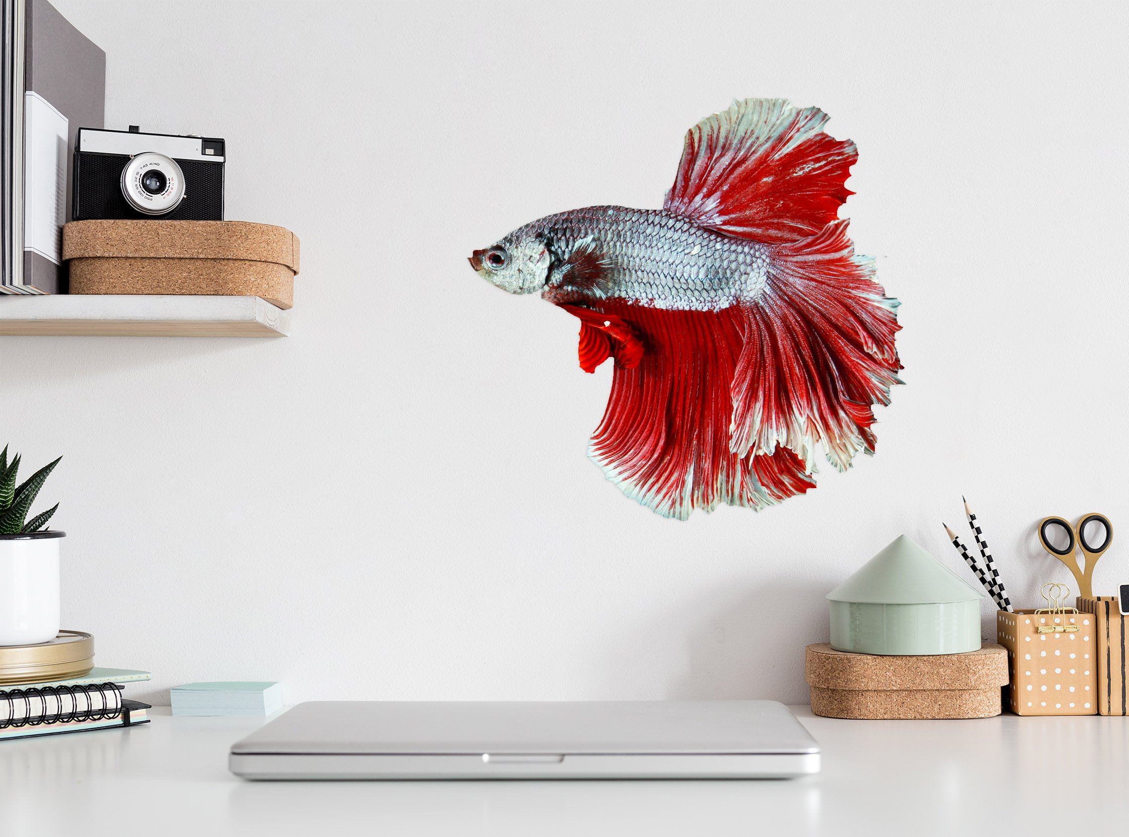 3D Red Goldfish Tail 036 Animals Wall Stickers Wallpaper AJ Wallpaper 