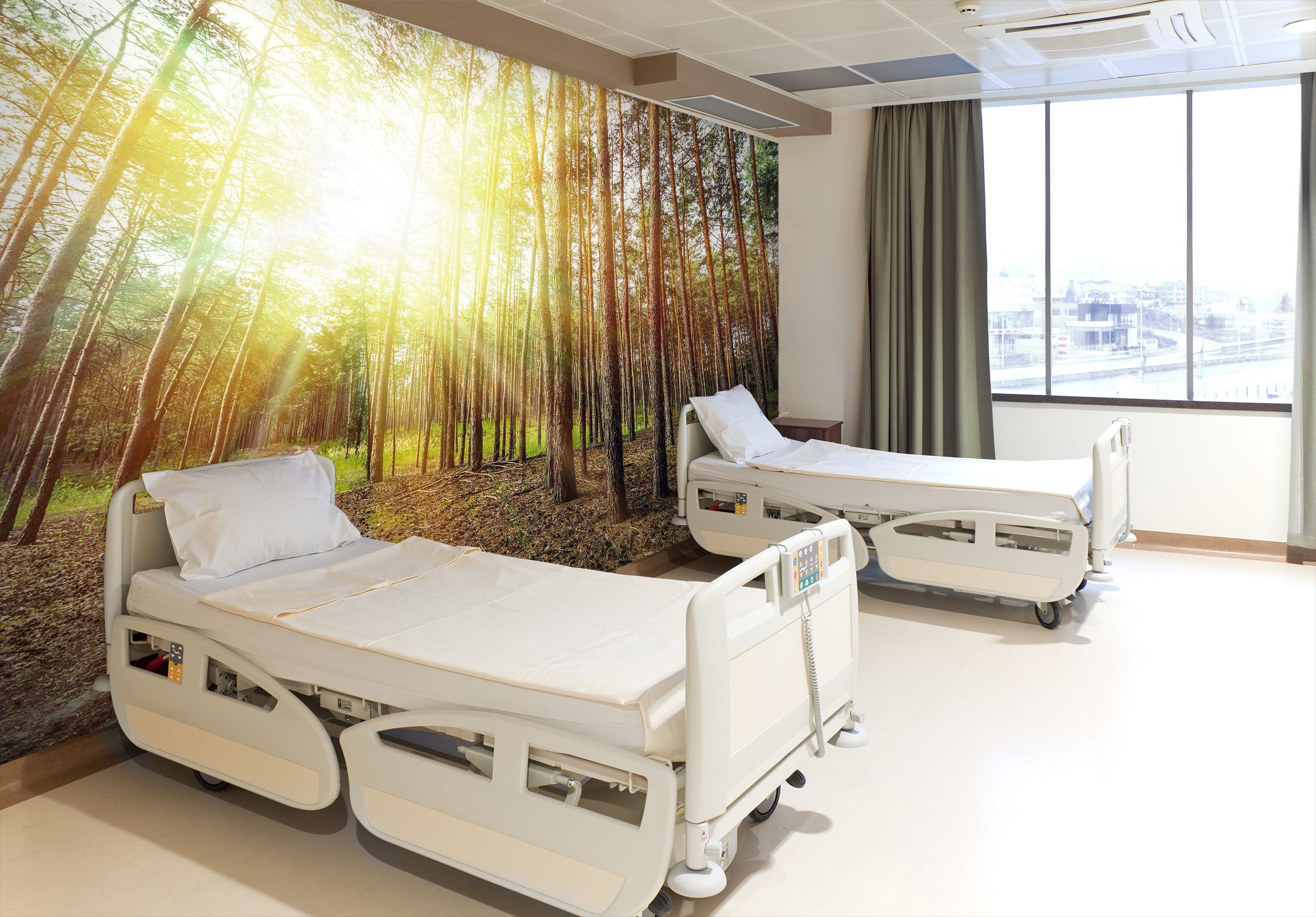 3D Forest Sunshine 299 Wall Murals