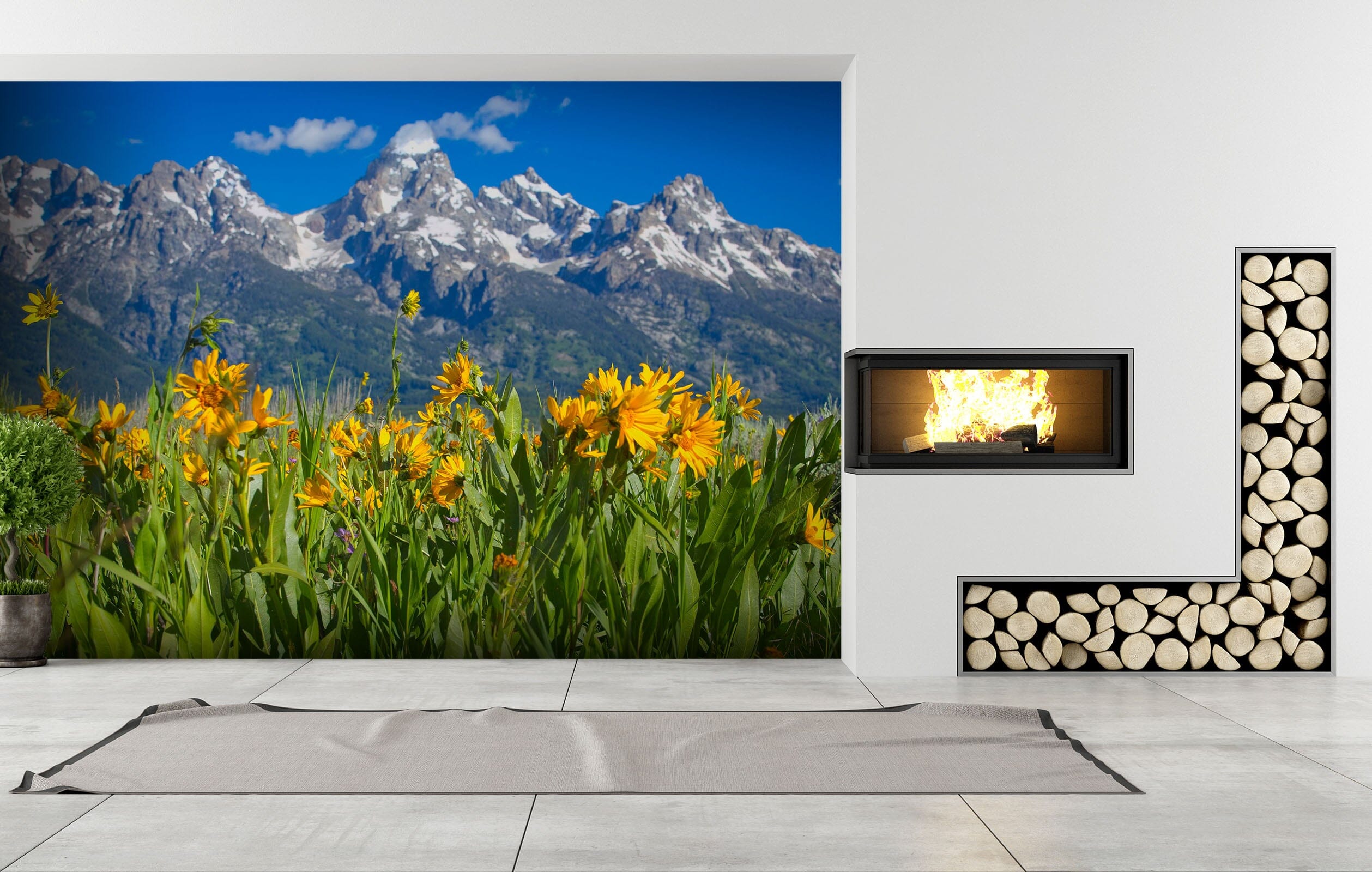 3D Flower Peak 119 Kathy Barefield Wall Mural Wall Murals Wallpaper AJ Wallpaper 2 