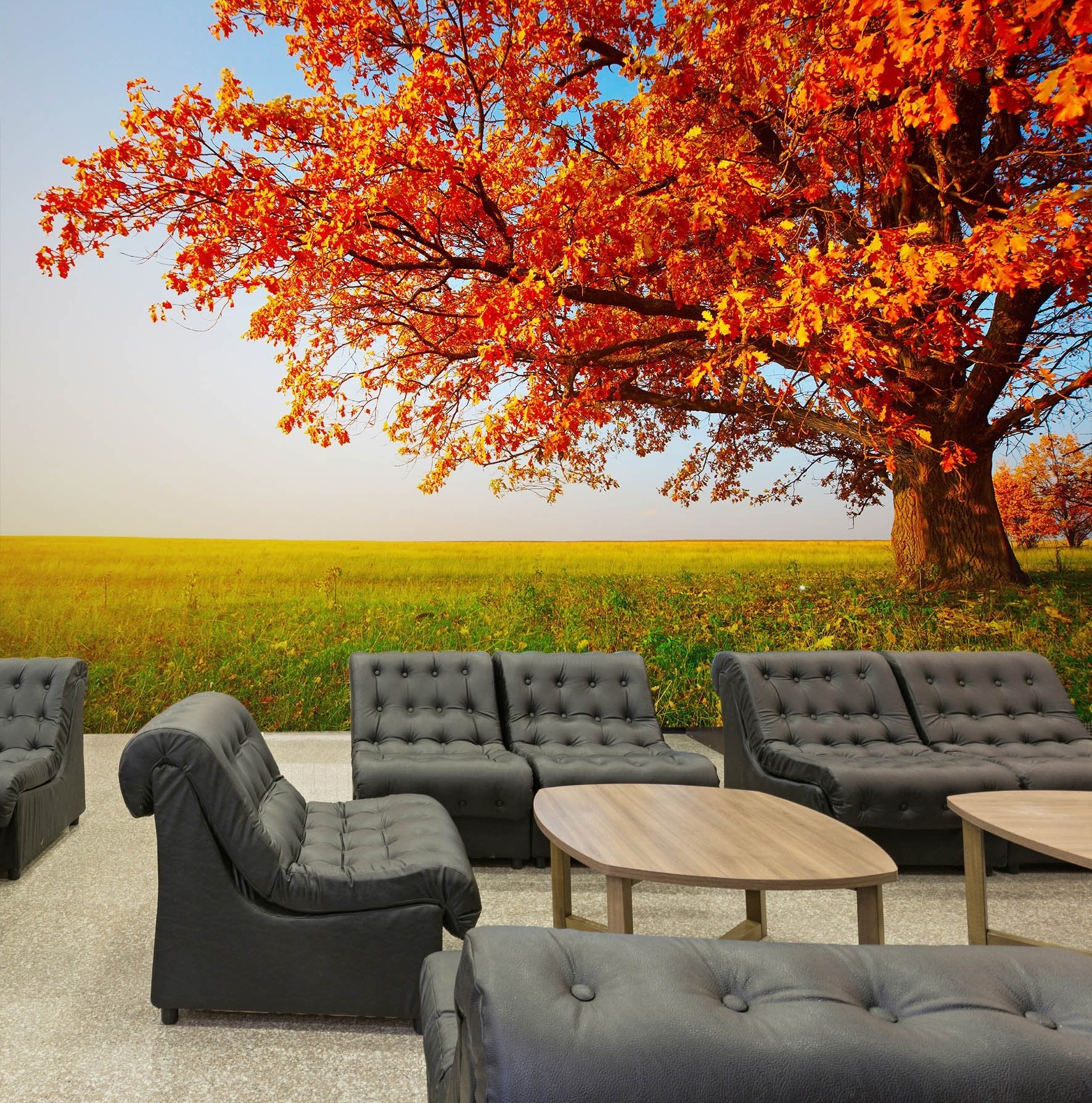 3D The maple leaves in fall 35 Wall Murals Wallpaper AJ Wallpaper 