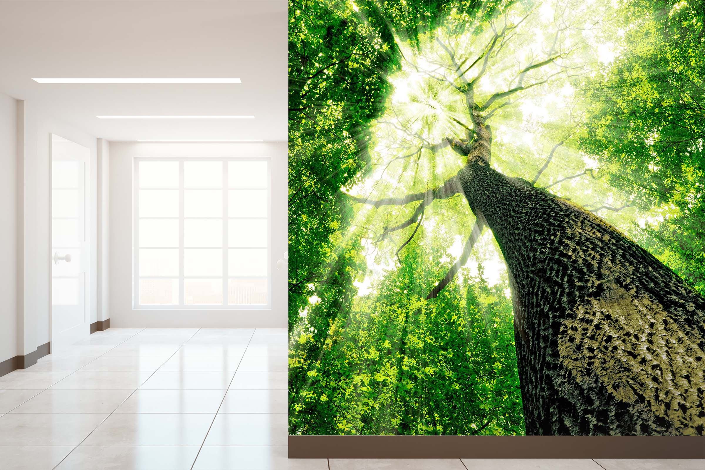 3D Landscape Tree 50 Wall Murals Wallpaper AJ Wallpaper 2 