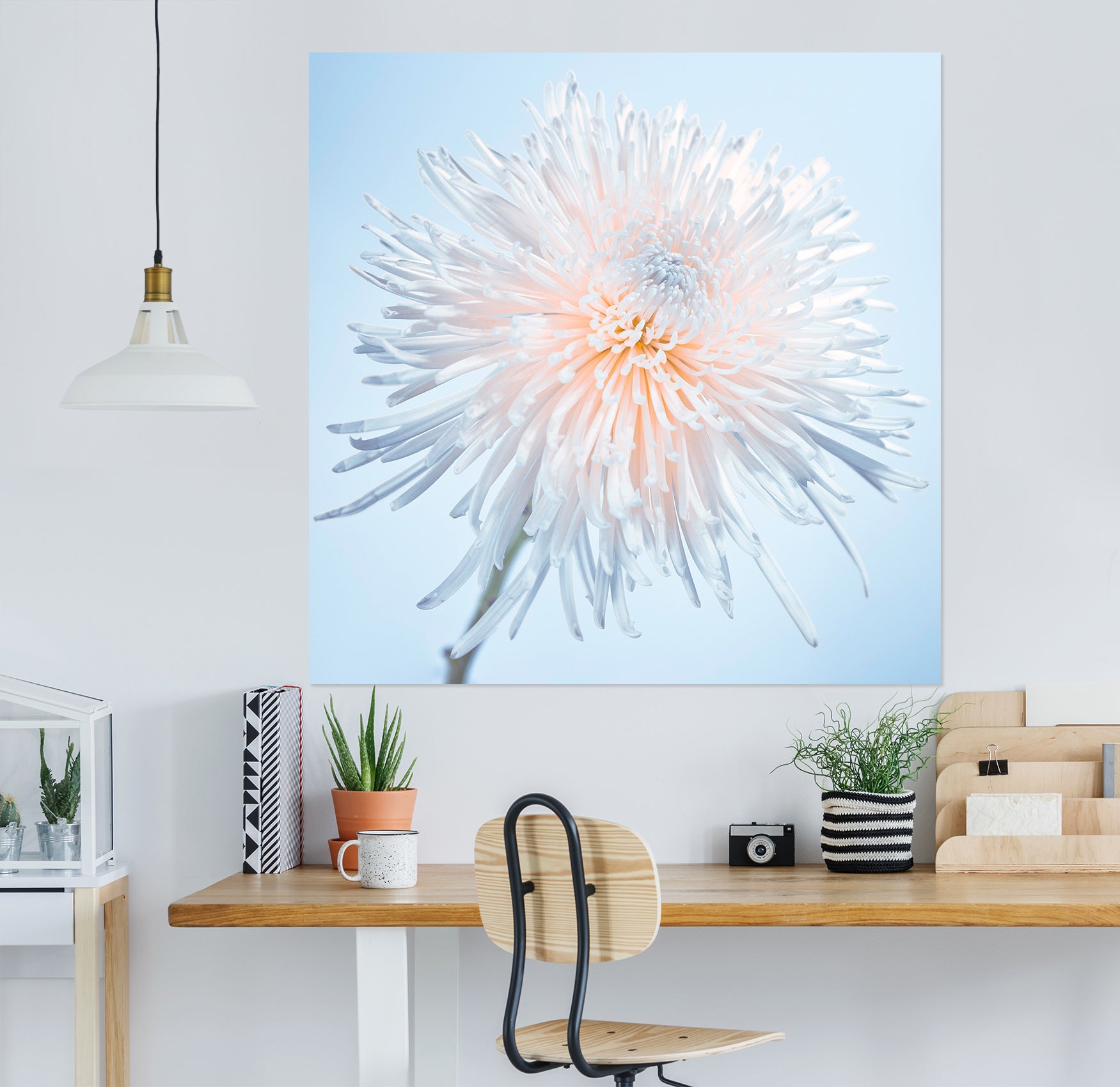 3D White Dandelion 021 Assaf Frank Wall Sticker