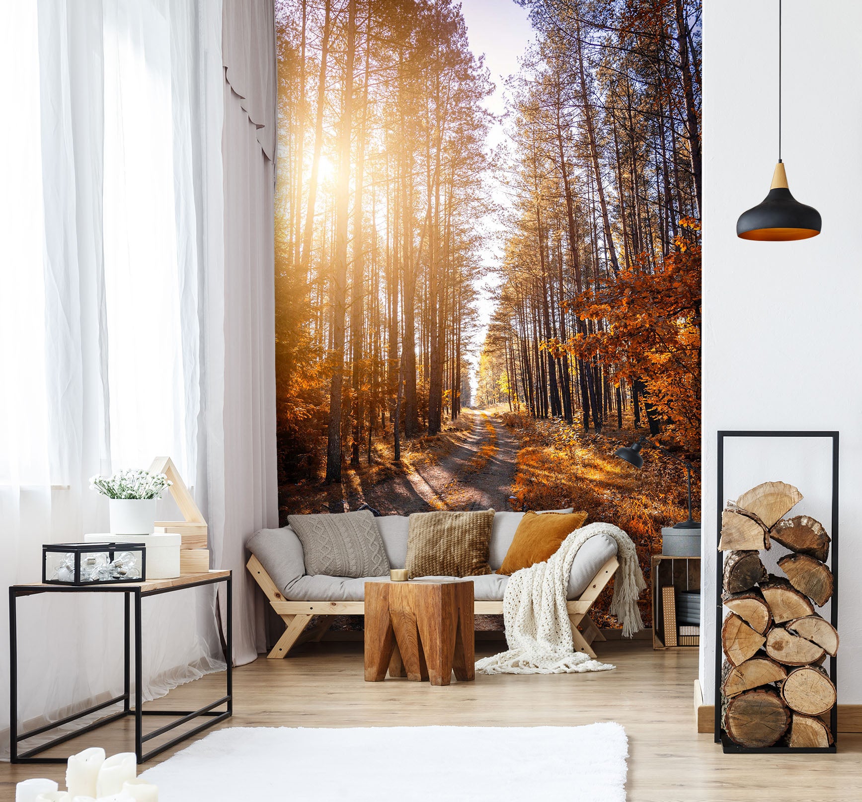 3D Forest Sunlight 2094 Wall Murals