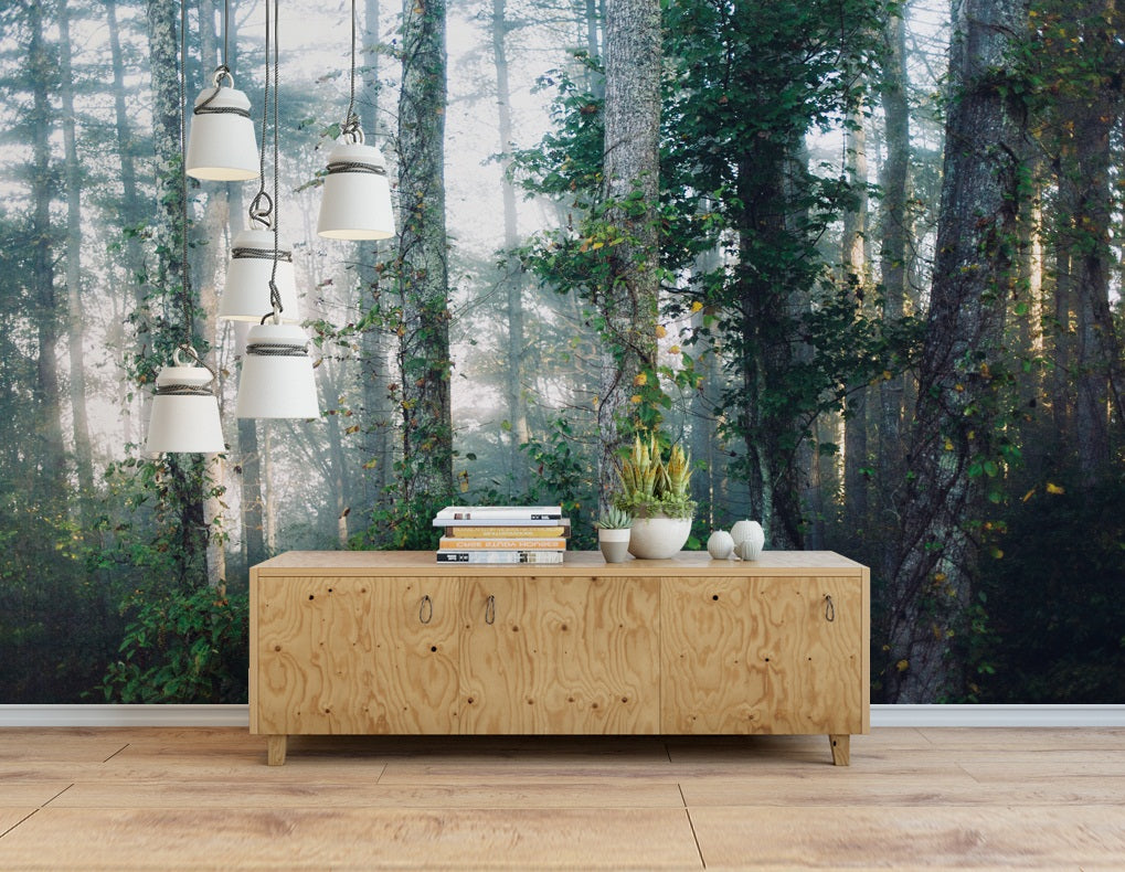 3D Forest Fog WC448 Wall Murals