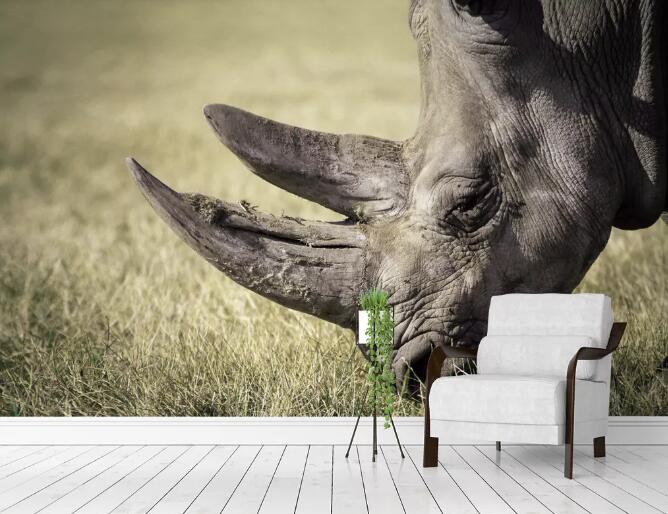 3D Rhino Prairie WC619 Wall Murals