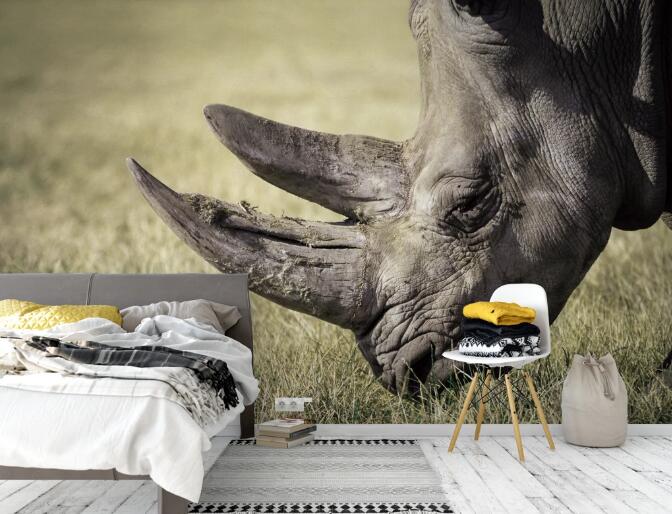 3D Rhino Prairie WC619 Wall Murals