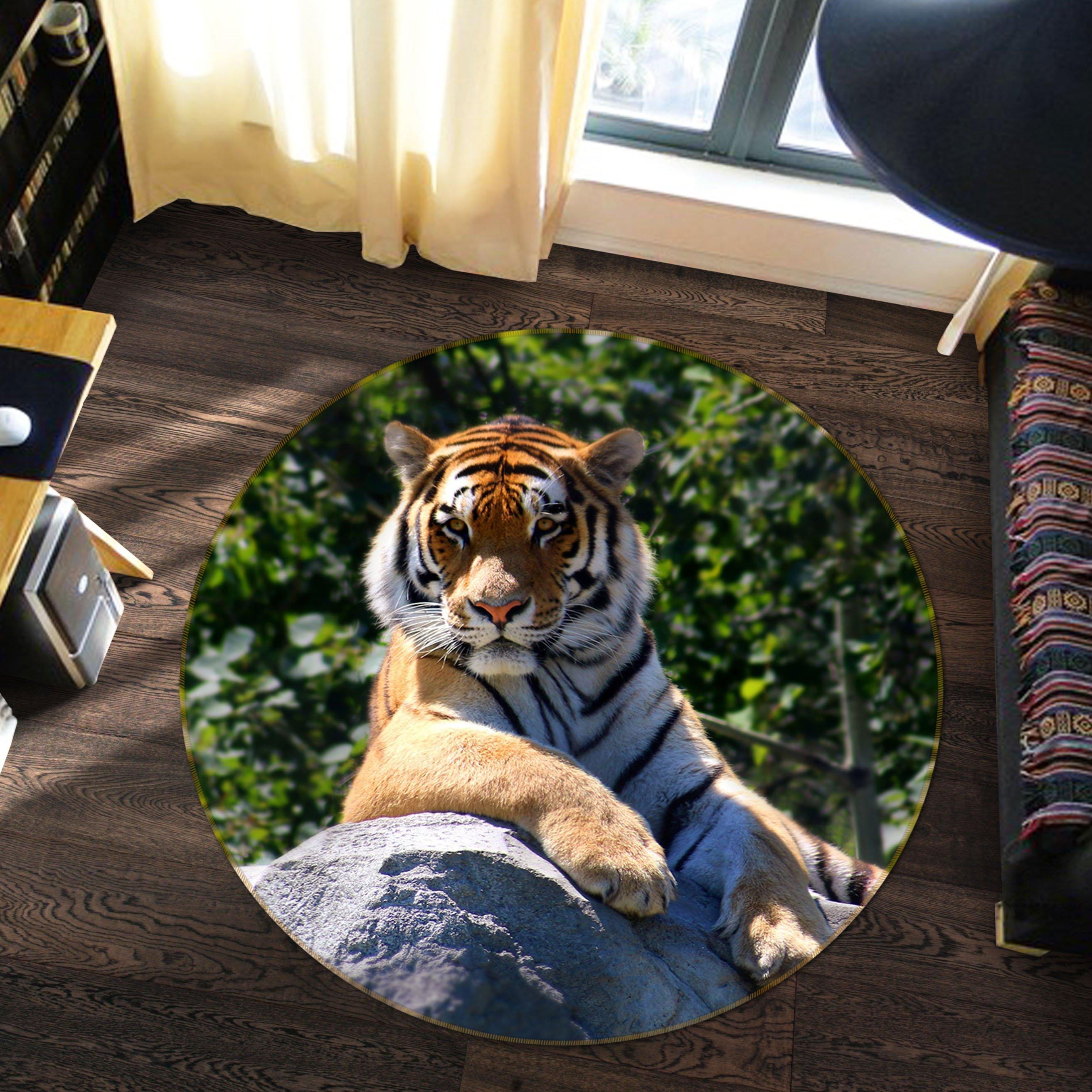 3D Tiger King 104 Animal Round Non Slip Rug Mat Mat AJ Creativity Home 