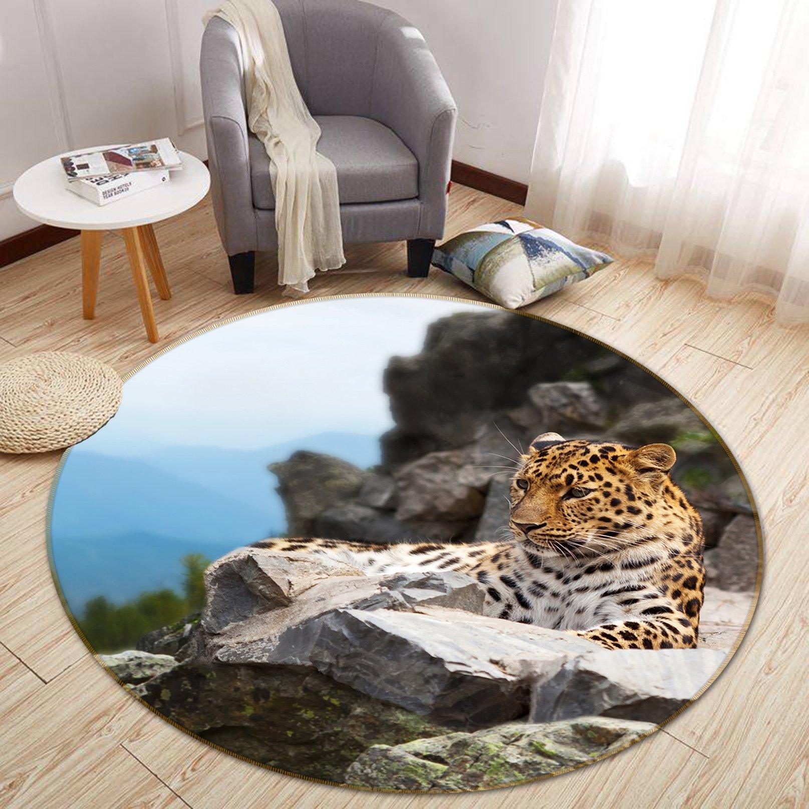 3D Stone Tiger 044 Animal Round Non Slip Rug Mat Mat AJ Creativity Home 