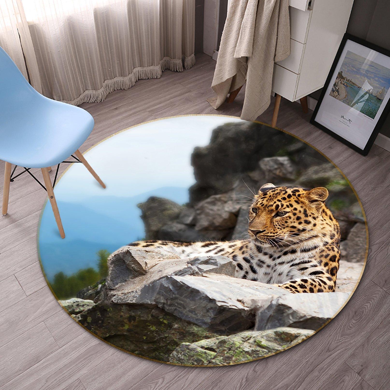 3D Stone Tiger 044 Animal Round Non Slip Rug Mat Mat AJ Creativity Home 