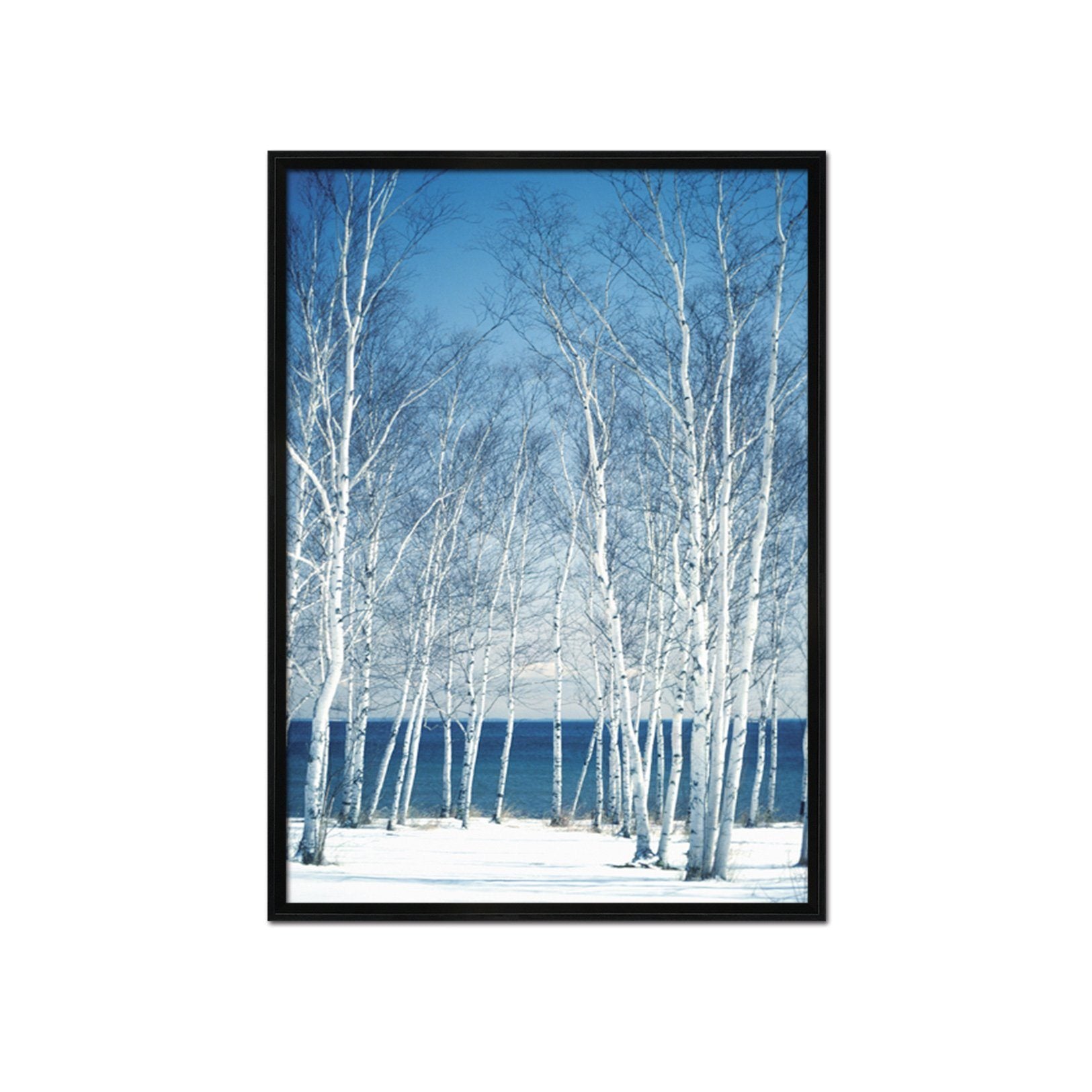 3D Snow Woods 033 Fake Framed Print Painting Wallpaper AJ Creativity Home 