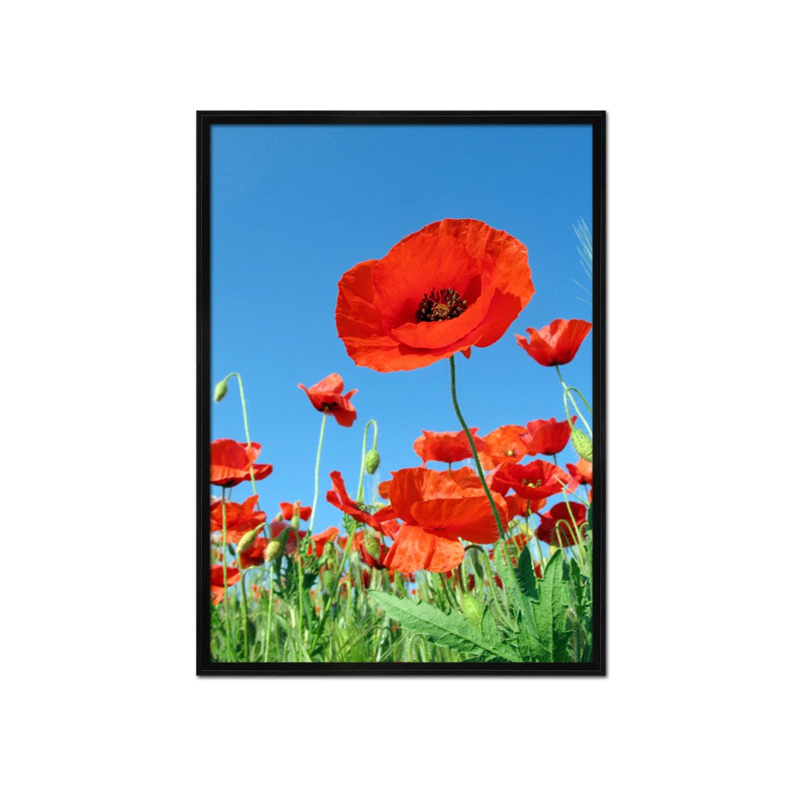 3D Small Red Flower 031 Fake Framed Print Painting Wallpaper AJ Creativity Home 