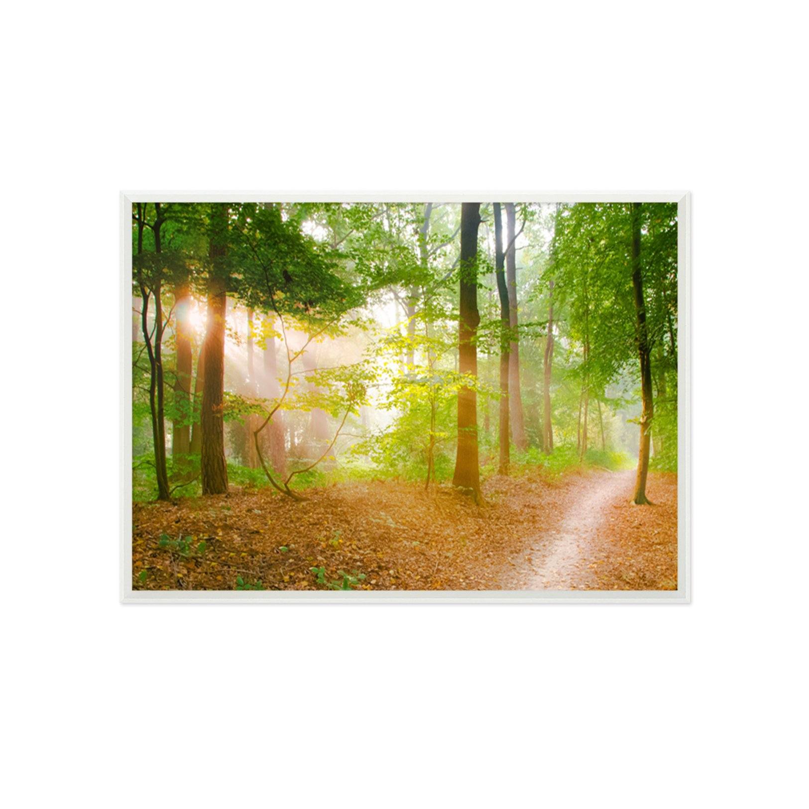 3D Sunshine Trail 014 Fake Framed Print Painting Wallpaper AJ Creativity Home 