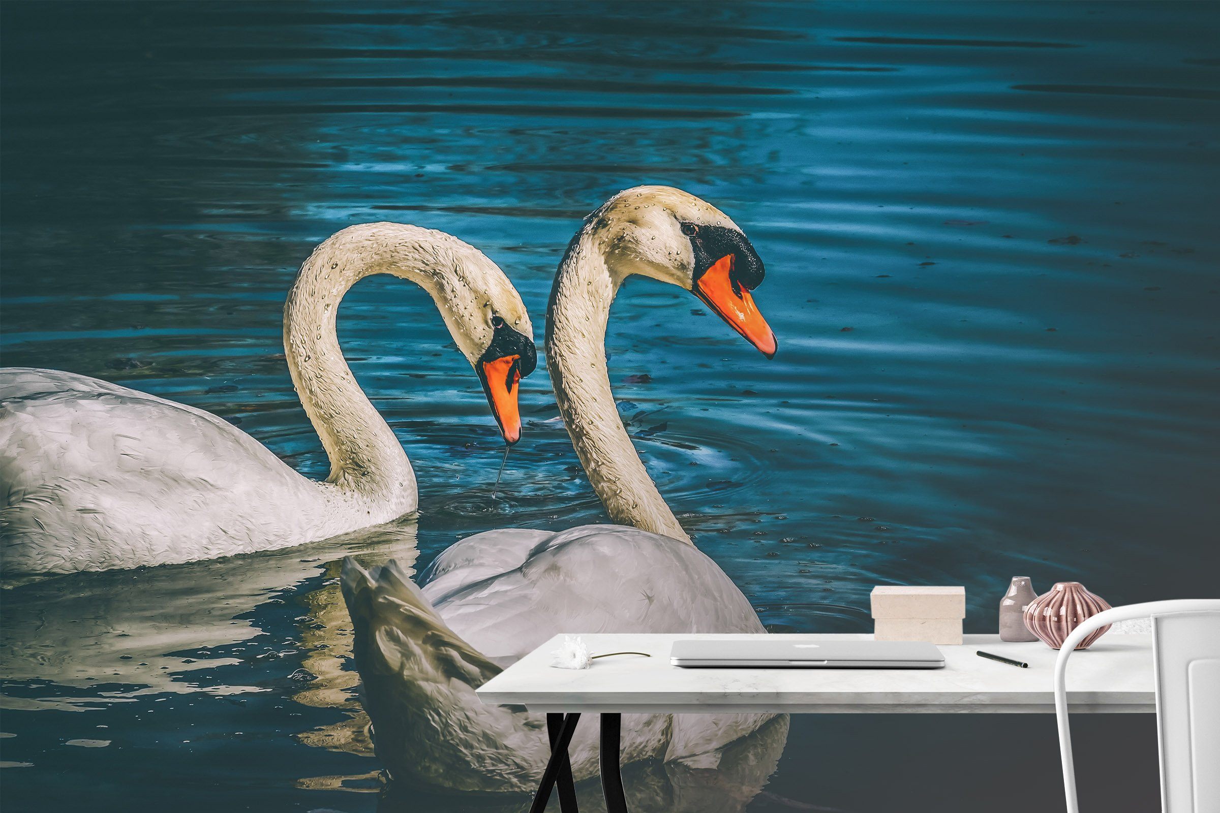 3D Water Swan 235 Wallpaper AJ Wallpaper 