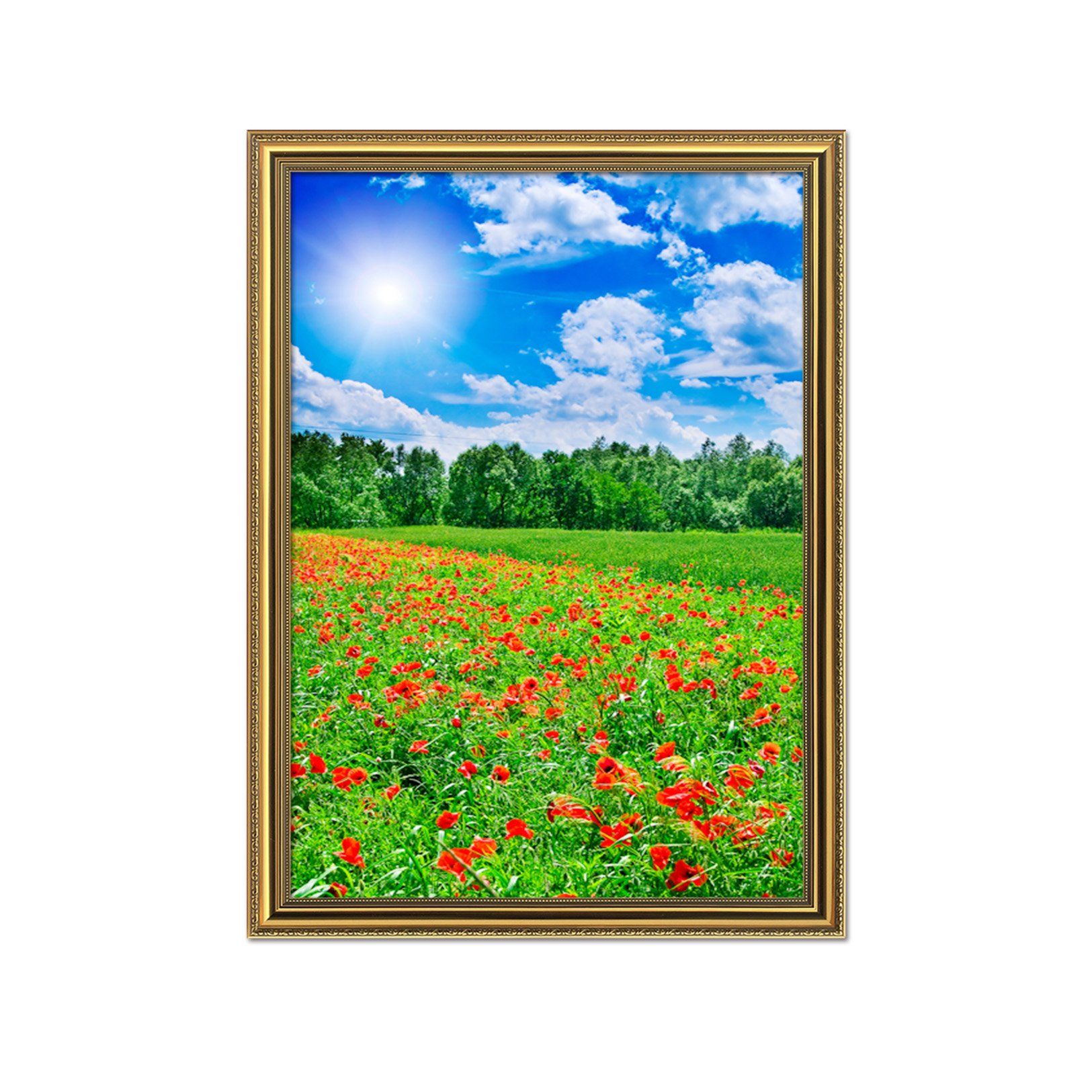 3D Meadow Flowers 045 Fake Framed Print Painting Wallpaper AJ Creativity Home 