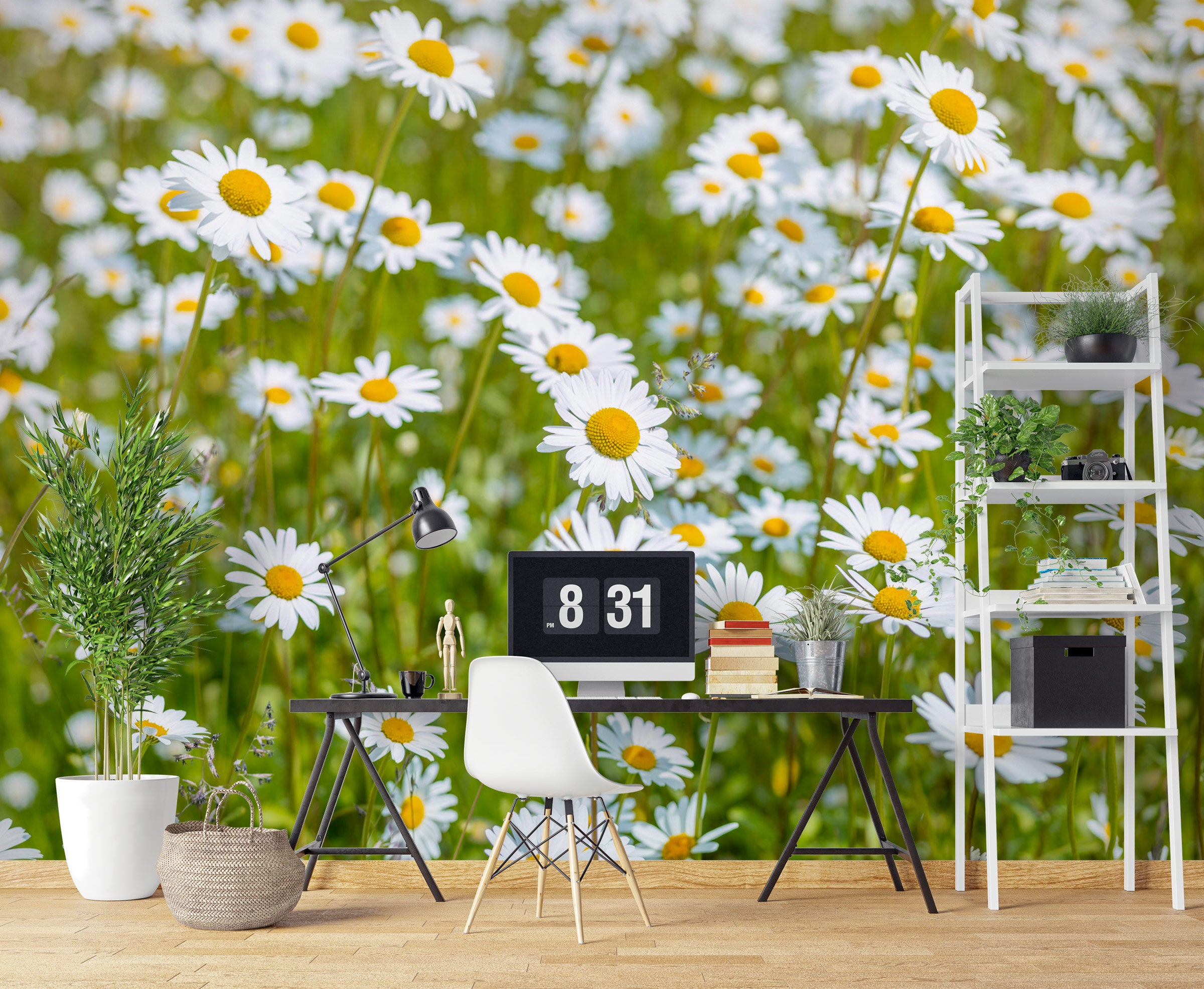 3D White Daisy 6262 Assaf Frank Wall Mural Wall Murals